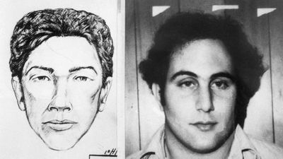 New Netflix true crime doc Sons of Sam dropped this week