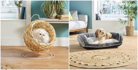 How paw-fect! Check out these eco-friendly pet buys that are coming to Aldi