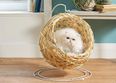 Aldi is selling hanging egg chairs for cats
