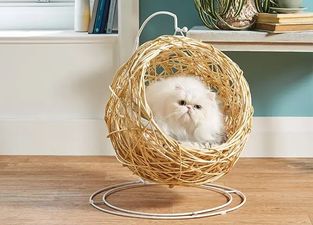 Aldi is selling hanging egg chairs for cats