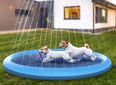 You can now get an outdoor pool with sprinklers for your dog
