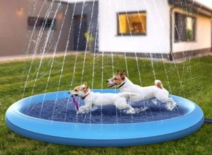 You can now get an outdoor pool with sprinklers for your dog