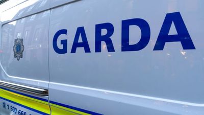 Body of woman discovered at Dublin bathing spot