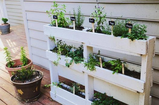 DIY pallet herb garden