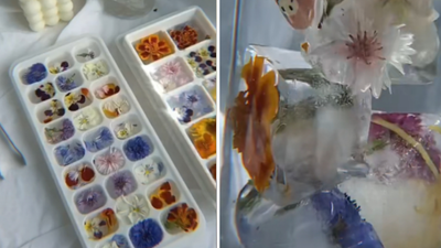 Floral ice cubes are the summer trend you need for any garden party