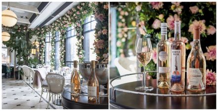 WILDE at The Westbury has just launched the perfect girls’ night out experience