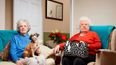 5 Gogglebox stars quit show after deaths of loved ones