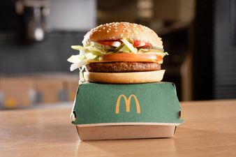 McDonald’s plant based burger is coming to Ireland next year