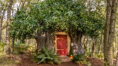 Winnie the Pooh’s hundred acre wood cottage is on Airbnb now