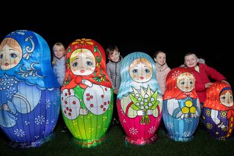 WATCH: Dublin Zoo’s Wild Lights makes its highly anticipated return