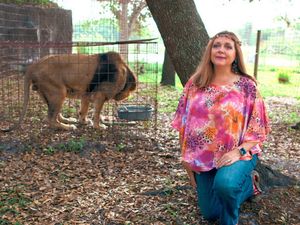 Carole Baskin to sue Netflix over Tiger King 2 content