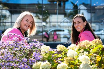 Study reveals 6 in 10 Irish women don’t check their breasts regularly