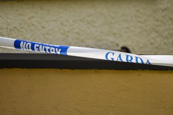 Gardaí fear toddler witnessed attack at home in Blanchardstown