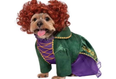 You can now get a Hocus Pocus Halloween costume for your dog