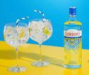 PSA: Gordon’s alcohol-free gin is on sale now, right in time for Christmas