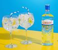 PSA: Gordon’s alcohol-free gin is on sale now, right in time for Christmas