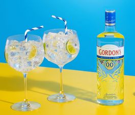 PSA: Gordon’s alcohol-free gin is on sale now, right in time for Christmas