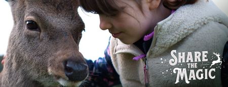 WATCH: SuperValu’s Deermuid the Deer Christmas ad is here