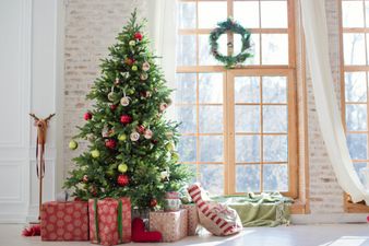 5 stunning and affordable trees that will bring some festive spirit to your home this Christmas