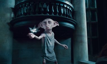 You can now visit Dobby the House Elf’s grave in Wales