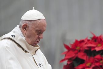 Of course Pope Francis thinks it’s selfish to have pets instead of kids