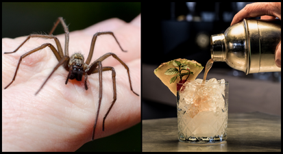 Spider in takeaway cocktail among thousands of complaints received by FSAI last year