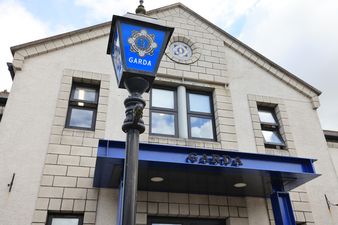 Man in his 60s dies on farm in Cork following fatal workplace accident