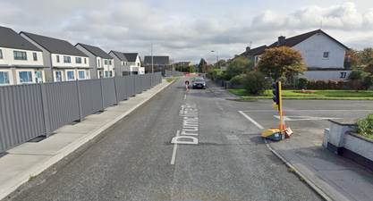 Woman and two children targeted by group of men in daylight as Gardai appeal issued