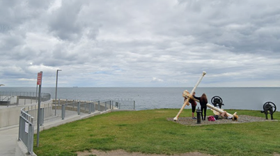 Woman in her 50s dies and two injured after swimming incident in Wicklow