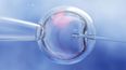 State funding for IVF to begin next year, Donnelly says