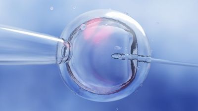 State funding for IVF to begin next year, Donnelly says
