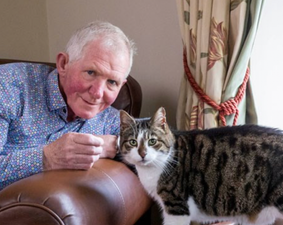 Irish cat up for award after saving six people from a fire