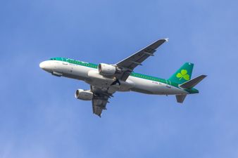Aer Lingus issue apology as more flights are cancelled