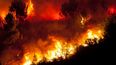 Irish tourists evacuated during Portugal heatwave wildfires