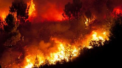 Irish tourists evacuated during Portugal heatwave wildfires
