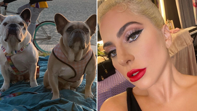 Man involved in Lady Gaga dog-walker robbery jailed for 4 years
