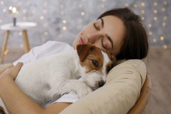 Dogs cry “happy tears” when their owner comes home