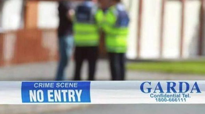 Two children and a teenager have been killed in a fatal assault in Dublin