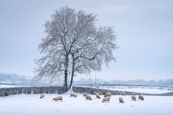 Snow on the way? Ireland set to be as cold as Iceland this winter