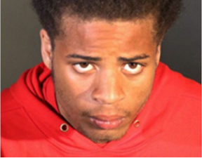 Man who shot Lady Gaga’s dog walker jailed for 21 years