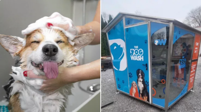 One-of-a-kind self-serve dog wash is launching in Dublin