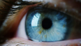 Every blue-eyed person is a descendant of one single human, according to scientists