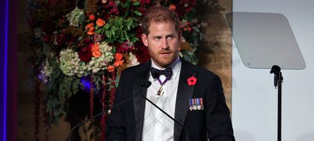 Prince Harry may lose US visa after discussing his drug taking in book Spare