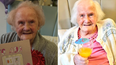 108-year-old woman says secret to long life is to have dogs and not children