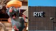 RTÉ staff canteen has been closed due to rat infestation
