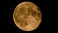 Super blue moon will be visible above Ireland for first time in a decade this week