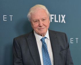 Sir David Attenborough set to return to present third season of Planet Earth