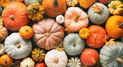 Six pumpkin patches near Dublin to check out over autumn