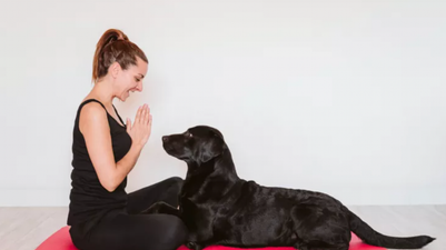 The London dog yoga trend has finally landed in Dublin