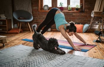 Dog yoga has landed in Dublin- but what exactly is it?